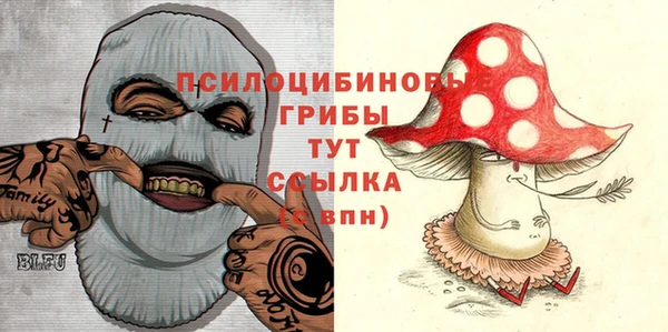 2c-b Аркадак