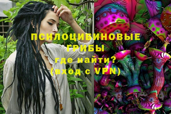 apvp Арсеньев